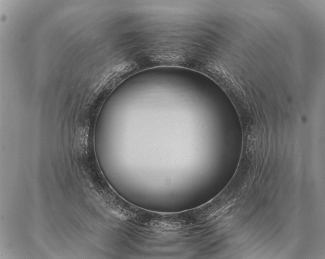 X0000086890739200704231127