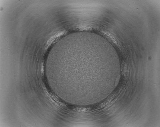 X0000086890740200704231127