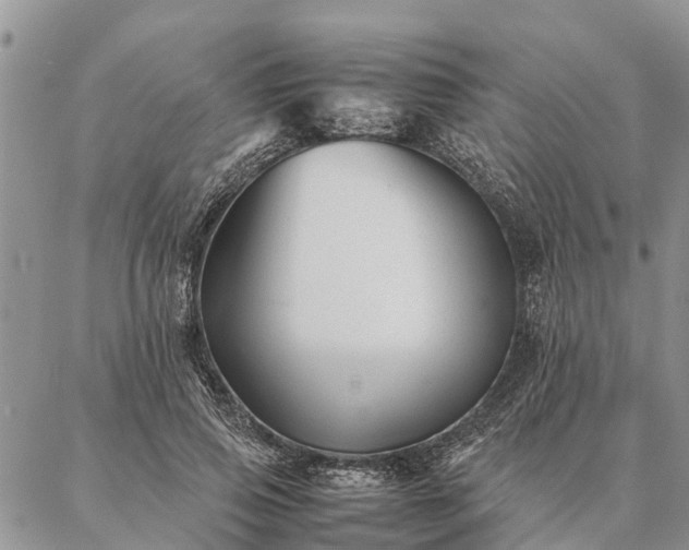 X0000086890741200704231127