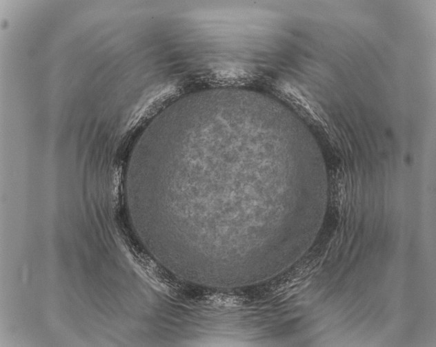 X0000086890742200704231127