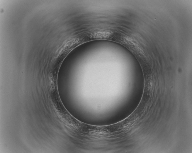 X0000086890743200704231127