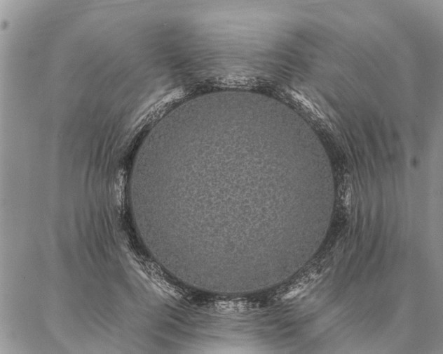 X0000086890744200704231127