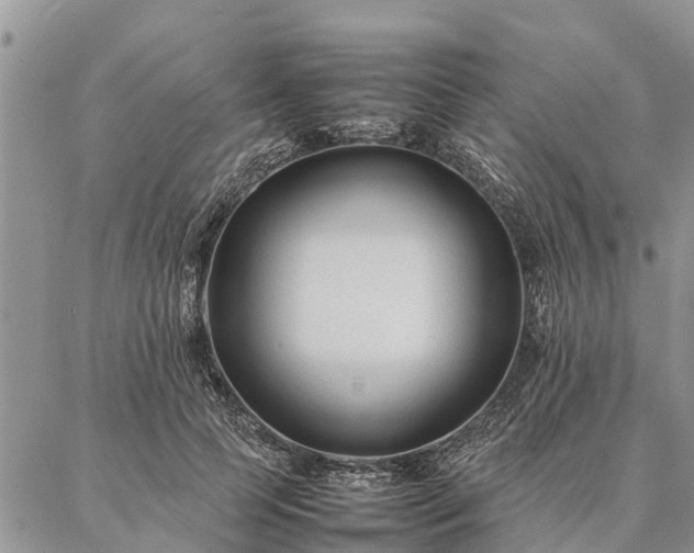 X0000086890745200704231127