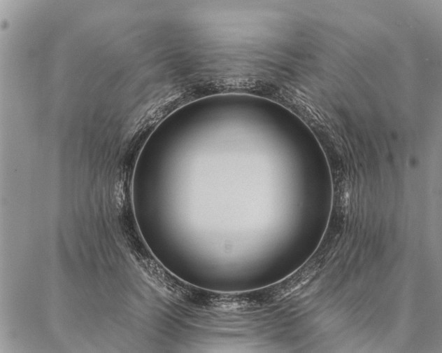 X0000086890746200704231127