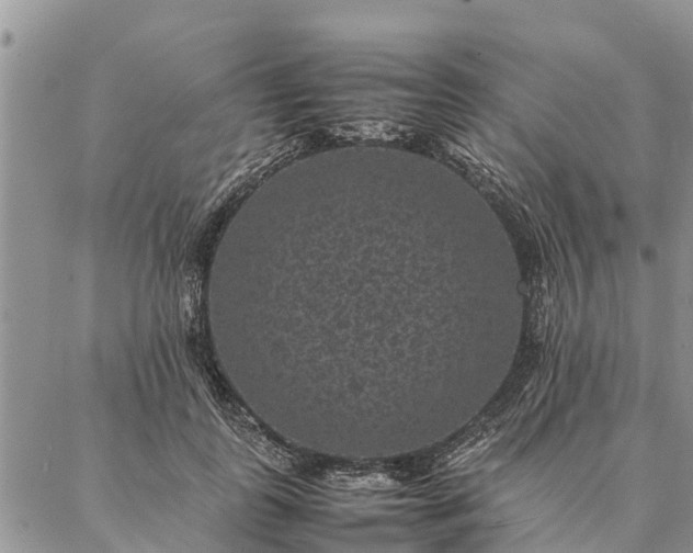 X0000086890747200704231127