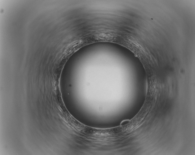 X0000086890749200704231128