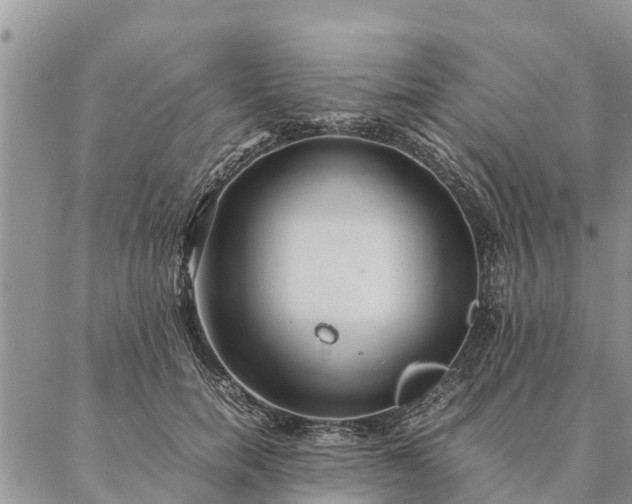 X0000086890750200704231128