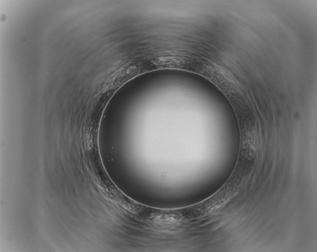 X0000086890751200704231128