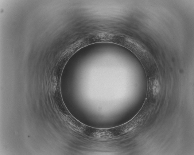 X0000086890752200704231128