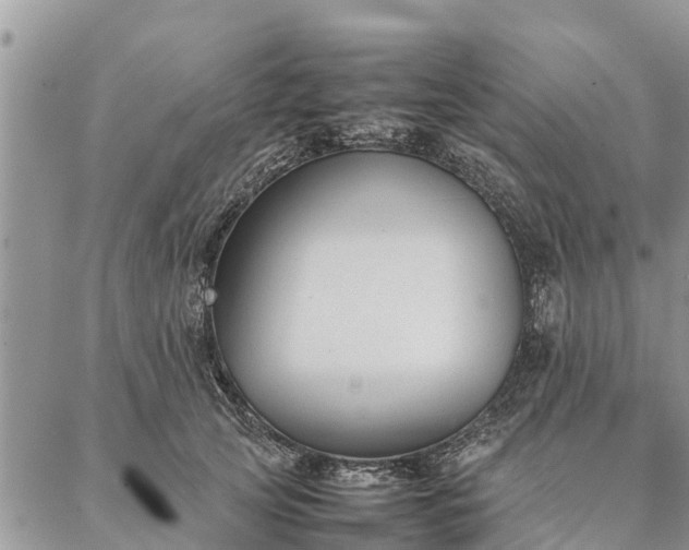 X0000086890753200704231128