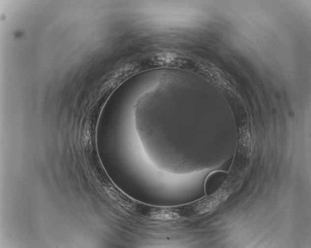 X0000086890754200704231128