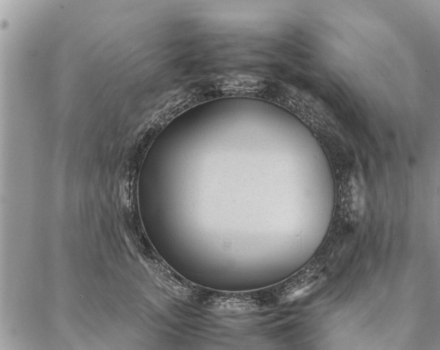 X0000086890755200704231128