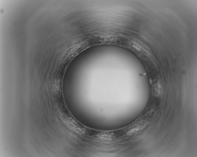 X0000086890756200704231128