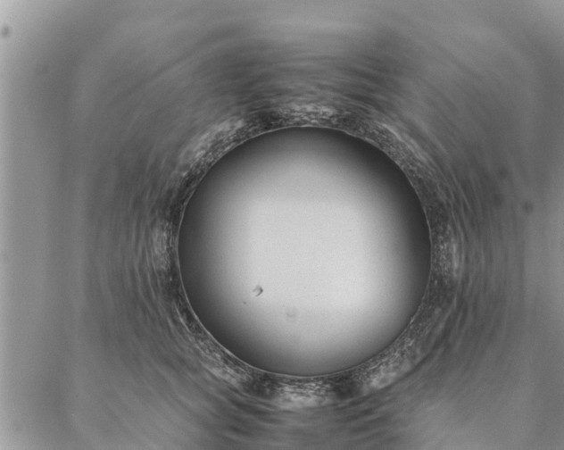 X0000086890757200704231128