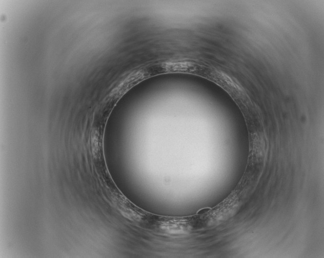 X0000086890761200704231128