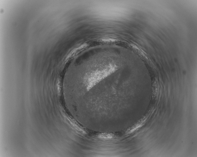 X0000086890762200704231128