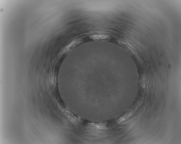 X0000086890763200704231128