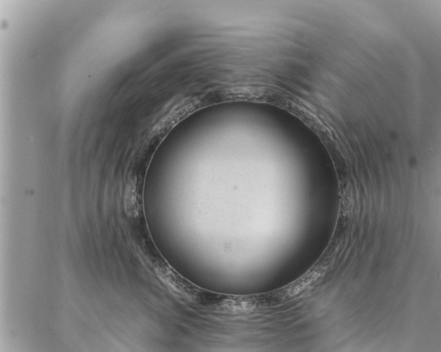 X0000086890764200704231128