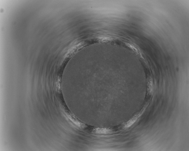 X0000086890766200704231128