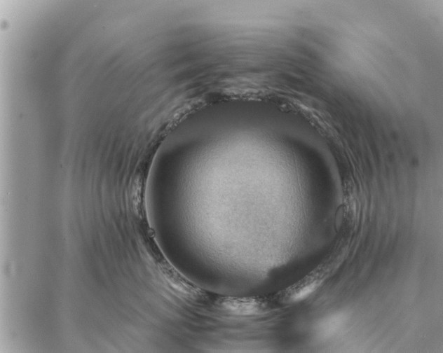 X0000086890767200704231128