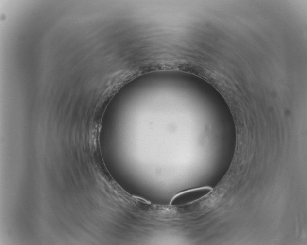 X0000086890768200704231128