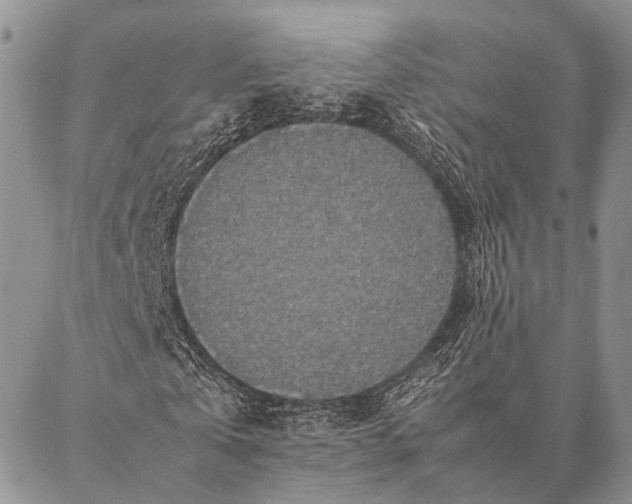 X0000086890769200704231127