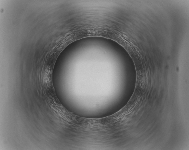 X0000086890770200704231127