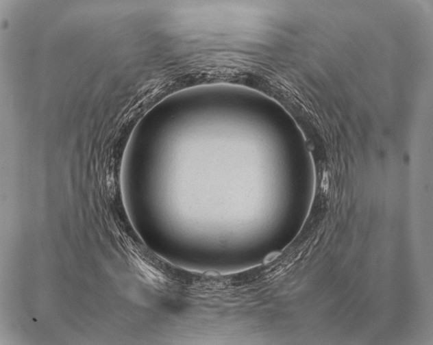 X0000086890771200704231127