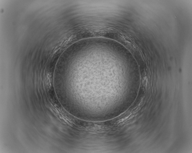 X0000086890772200704231127