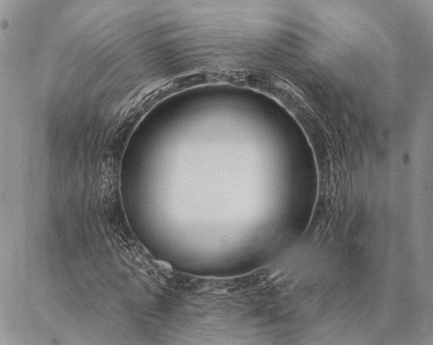 X0000086890773200704231127