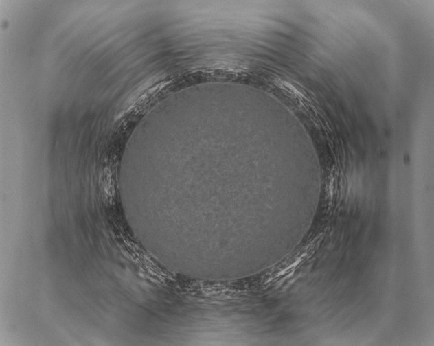 X0000086890774200704231127