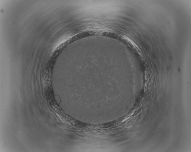 X0000086890775200704231127