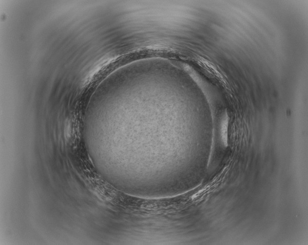 X0000086890776200704231127