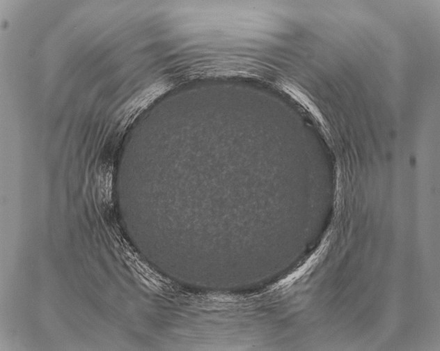 X0000086890777200704231127