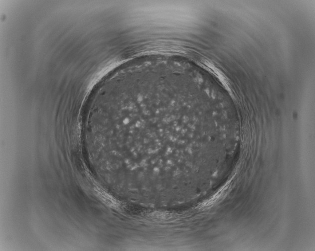 X0000086890779200704231127