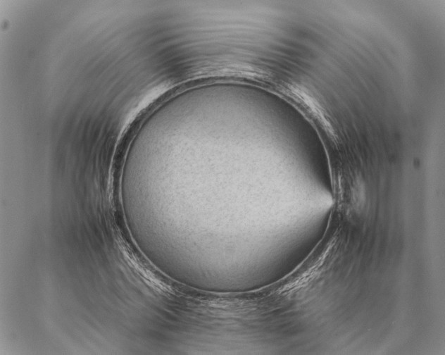 X0000086890780200704231127