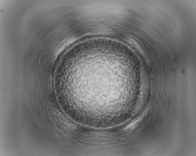 X0000086890781200704231127