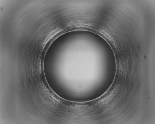 X0000086890782200704231127