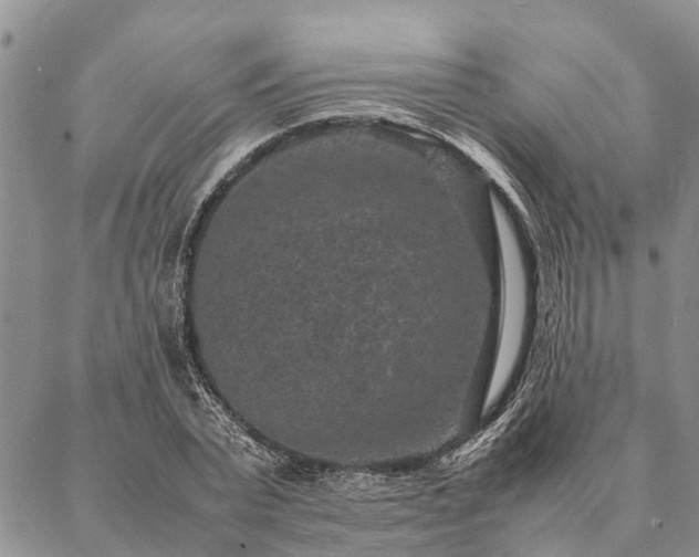 X0000086890783200704231127