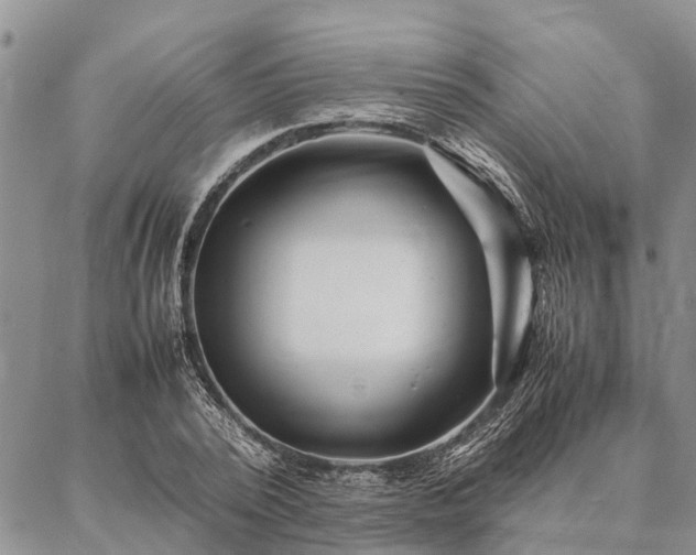 X0000086890784200704231127