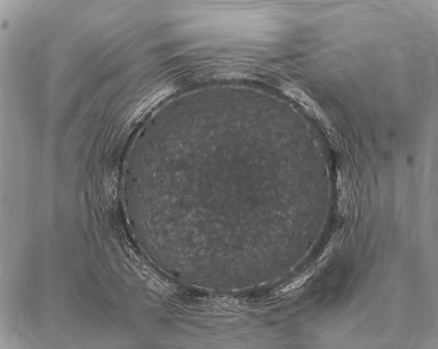 X0000086890785200704231127