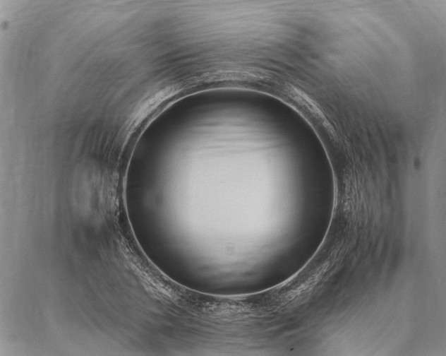 X0000086890786200704231127