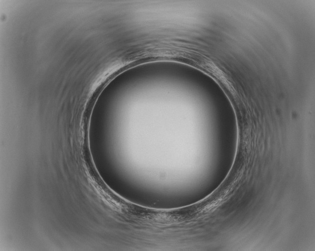 X0000086890787200704231127