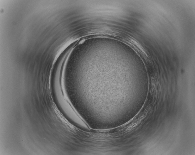 X0000086890788200704231127