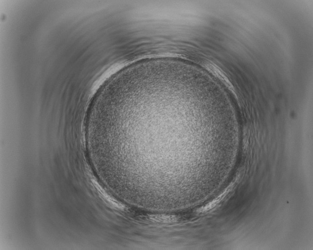 X0000086890789200704231127