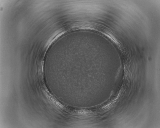 X0000086890790200704231127