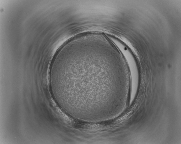 X0000086890791200704231127