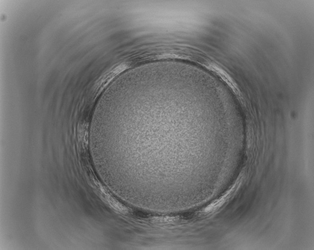 X0000086890793200704231127