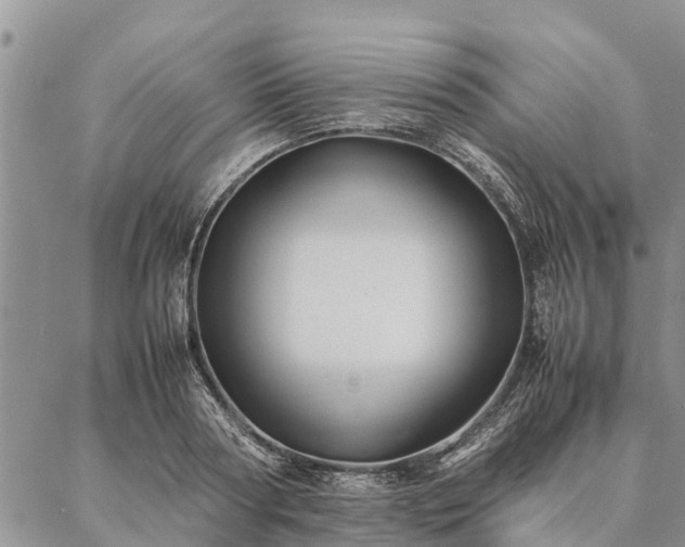 X0000086890794200704231127