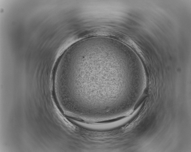 X0000086890795200704231127